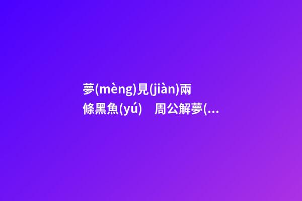 夢(mèng)見(jiàn)兩條黑魚(yú)　周公解夢(mèng)之夢(mèng)到兩條黑魚(yú)